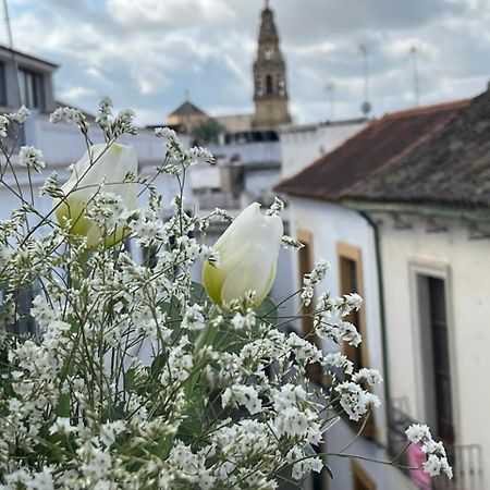 El Balcon De La Torre Lägenhet Córdoba Exteriör bild