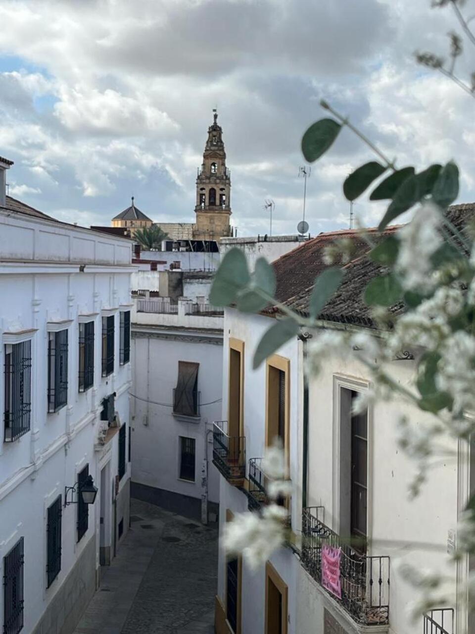 El Balcon De La Torre Lägenhet Córdoba Exteriör bild